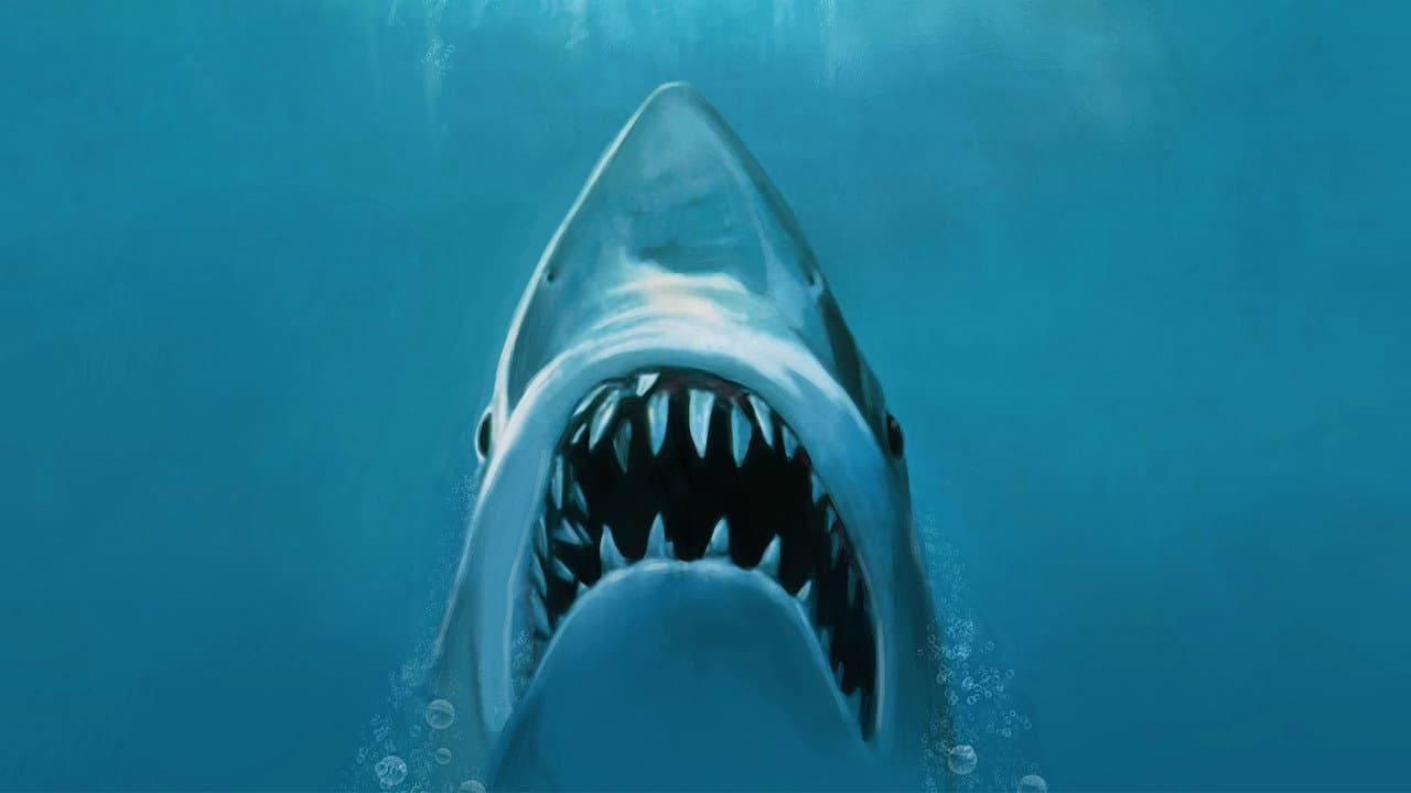 Jaws (1975): Spielberg's Shark Thriller Still Bites still 6