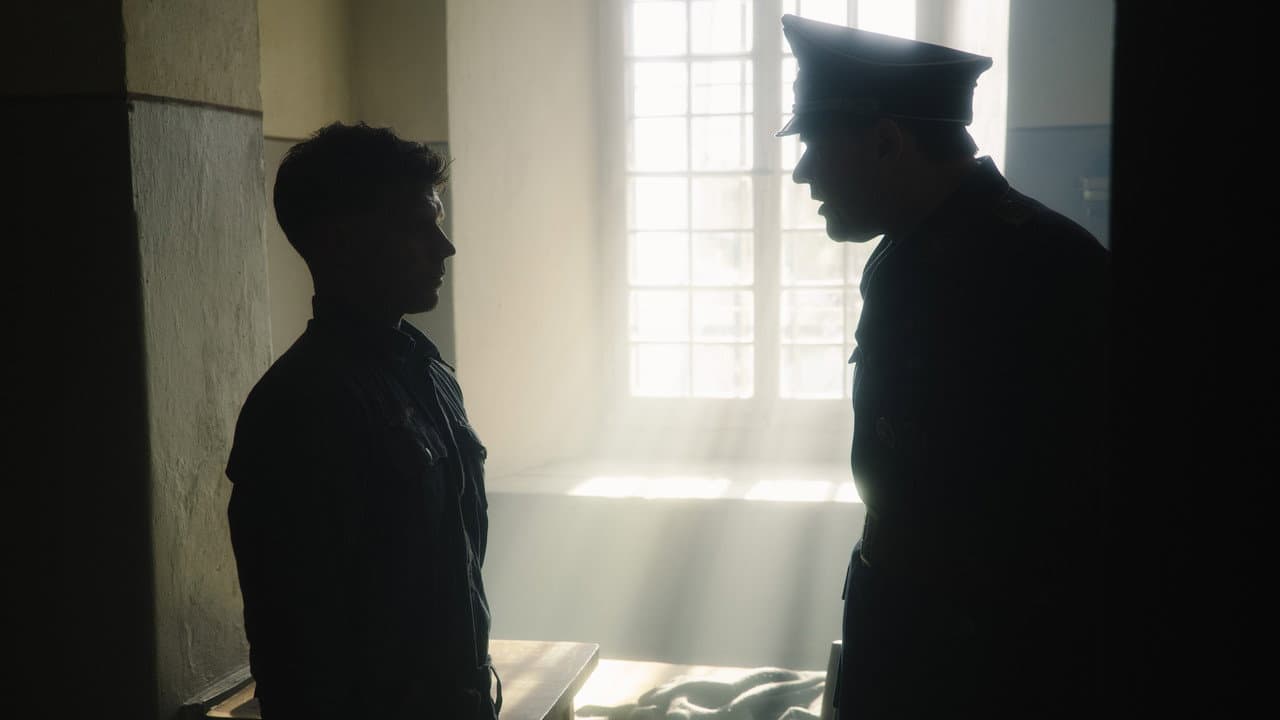 The Fox still 8