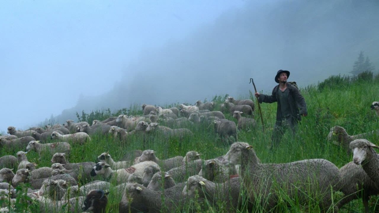 Shepherds still 2