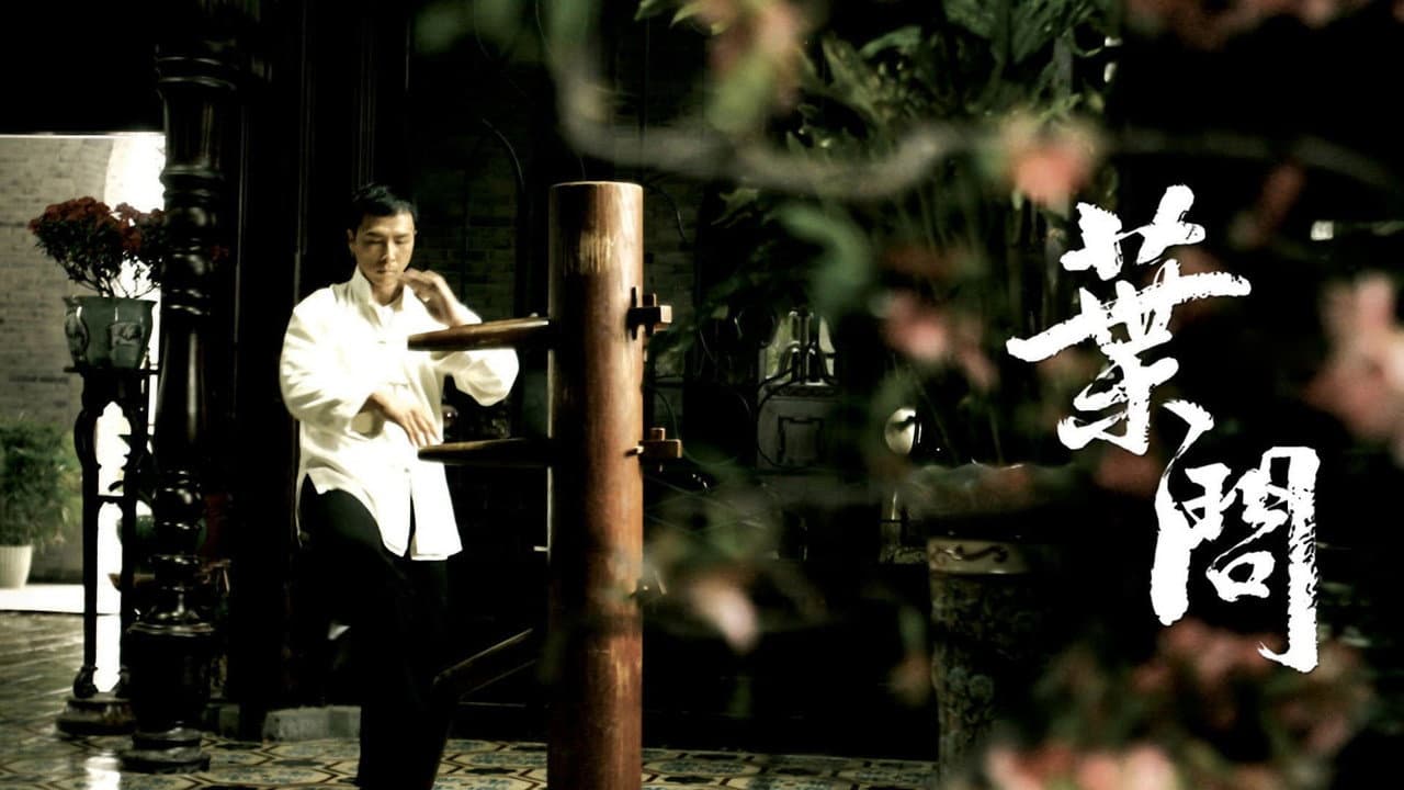 Ip Man still 8