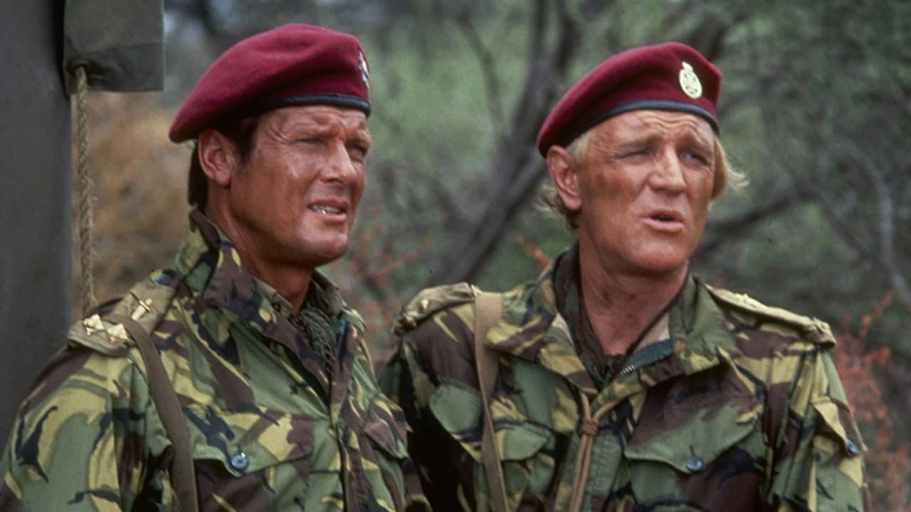 The Wild Geese still 2
