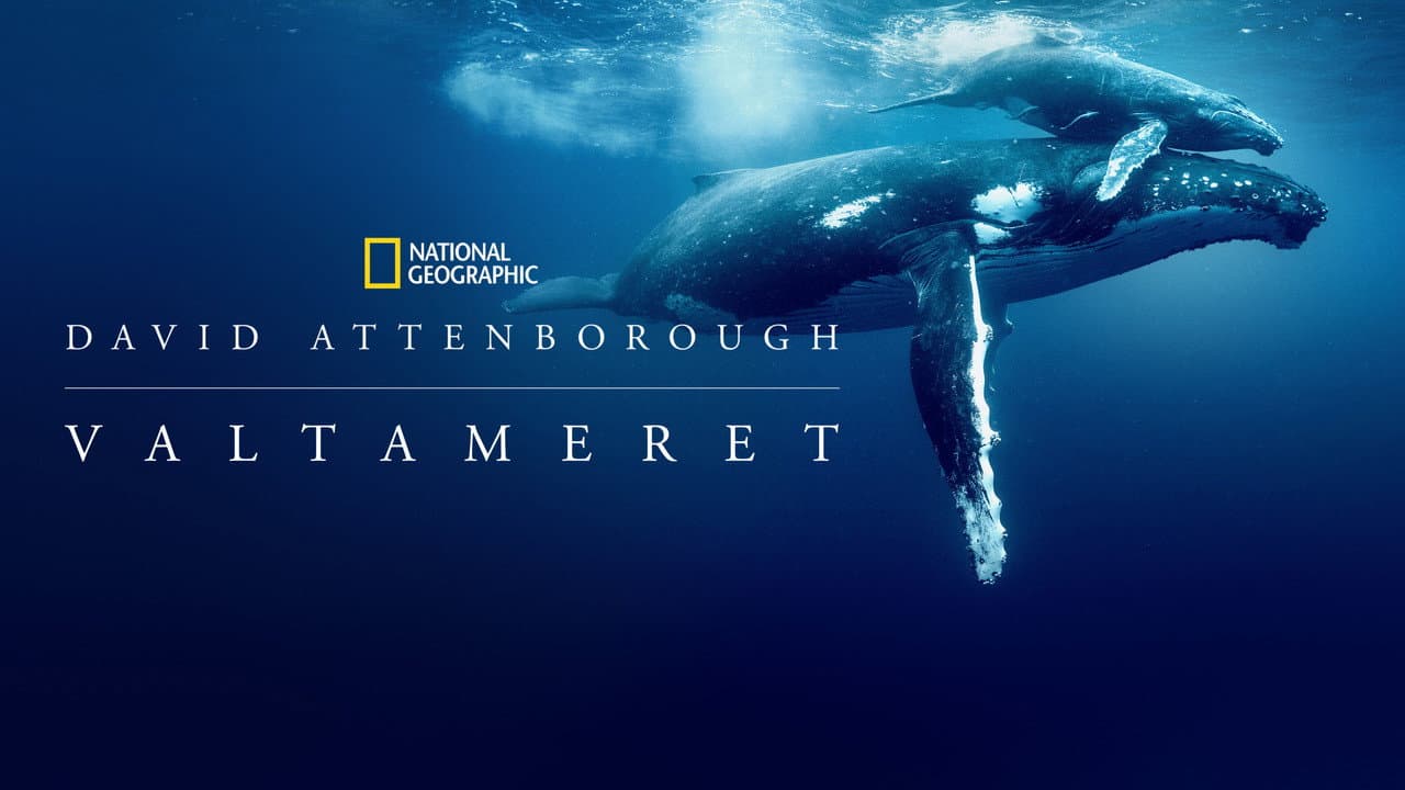Ocean with David Attenborough still 7