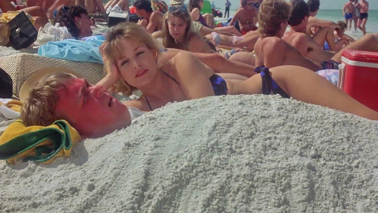 Summer Rental still 2
