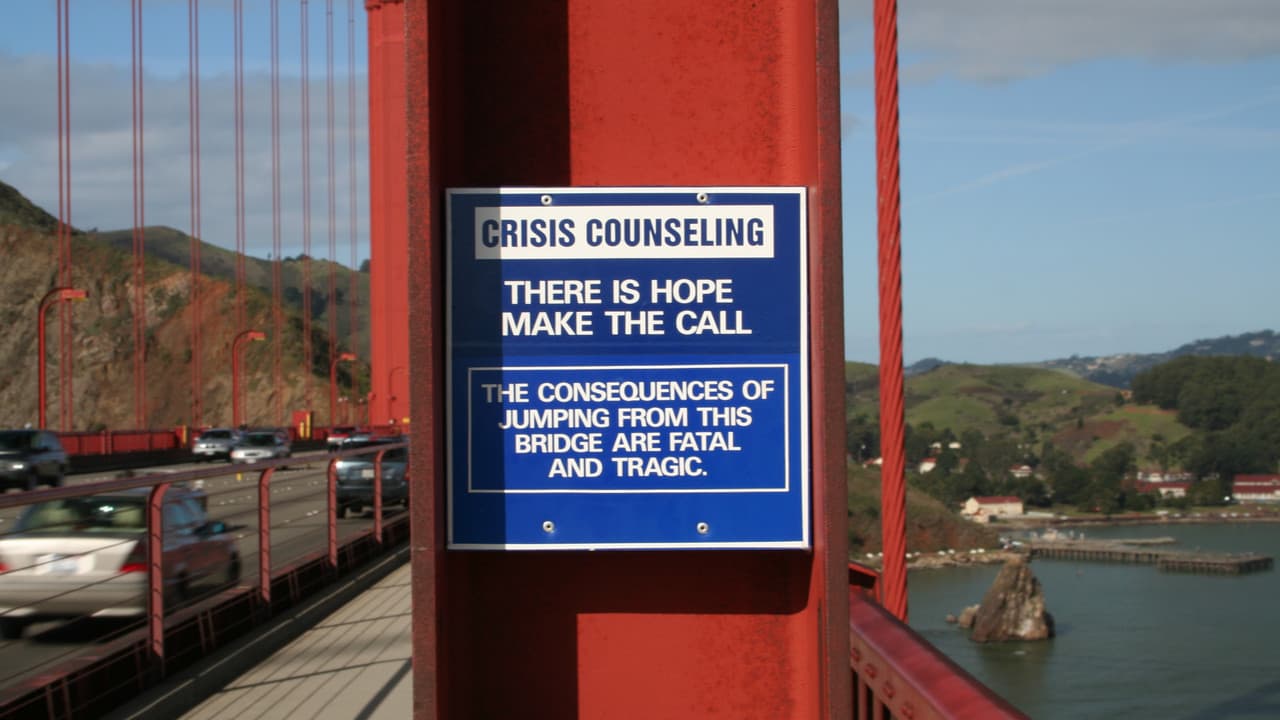 The Bridge still 2