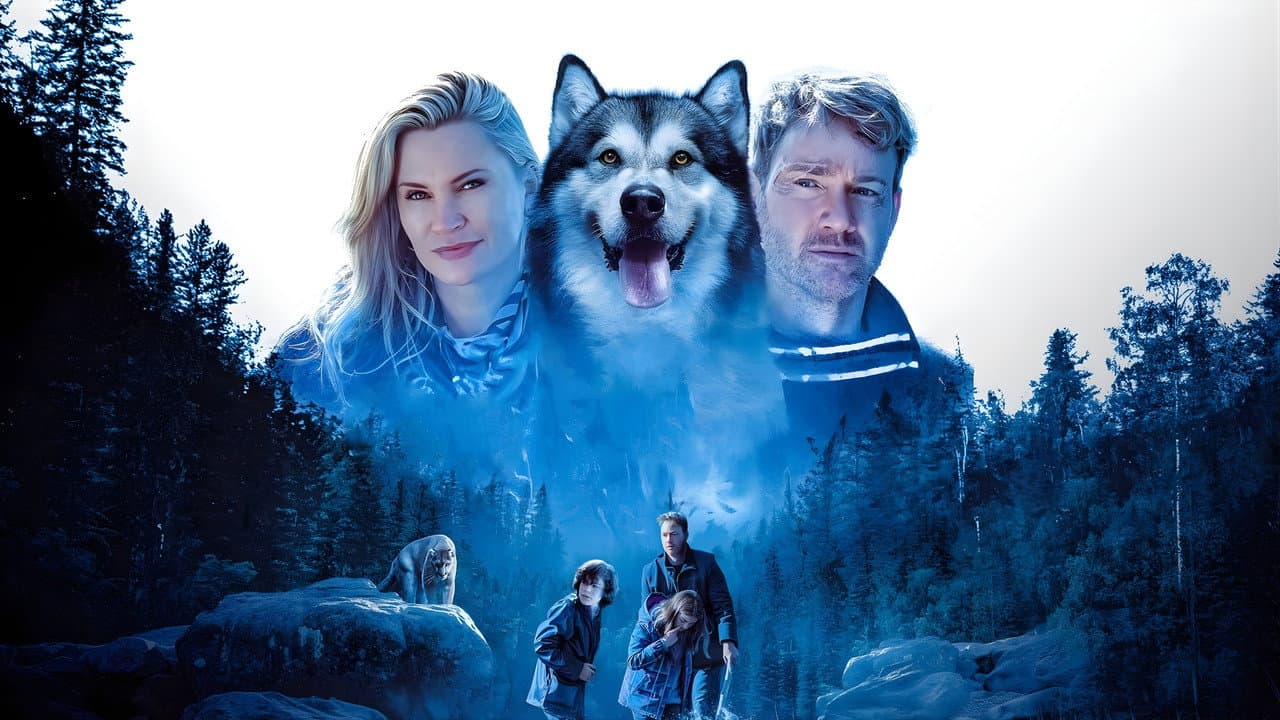 Hero Dog: The Journey Home still 3