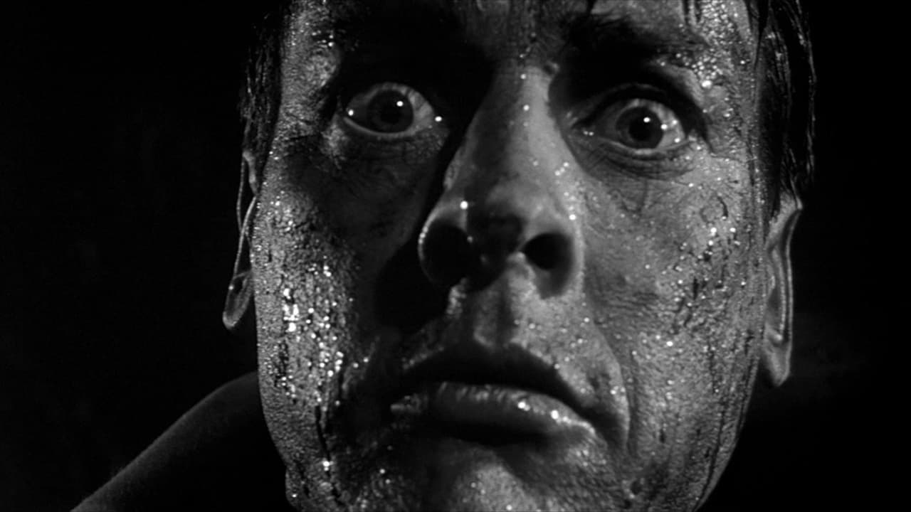Invasion of the Body Snatchers still 2