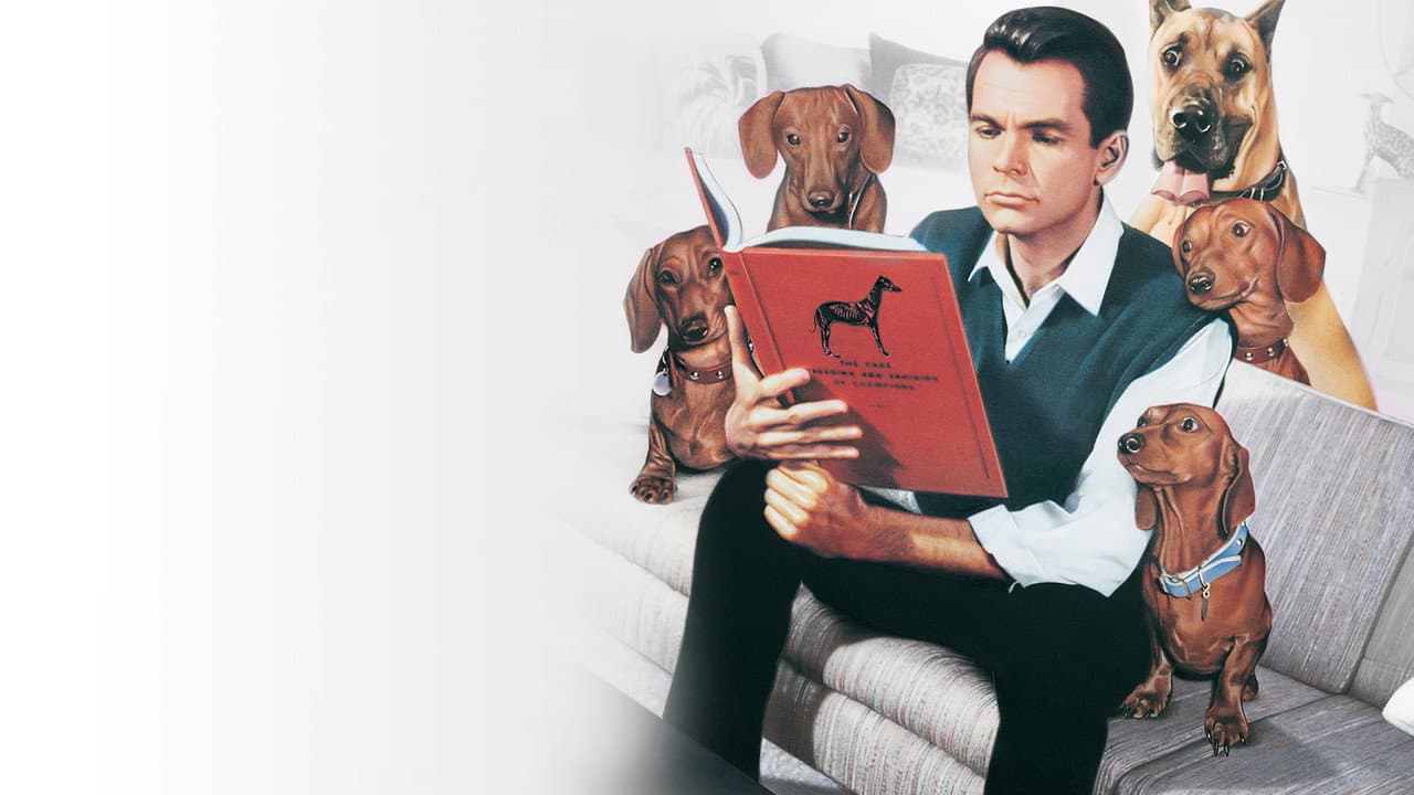The Ugly Dachshund still 3