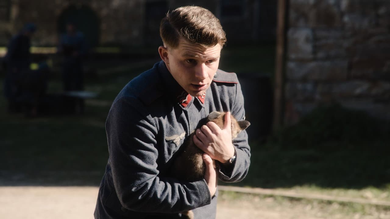 The Fox still 2