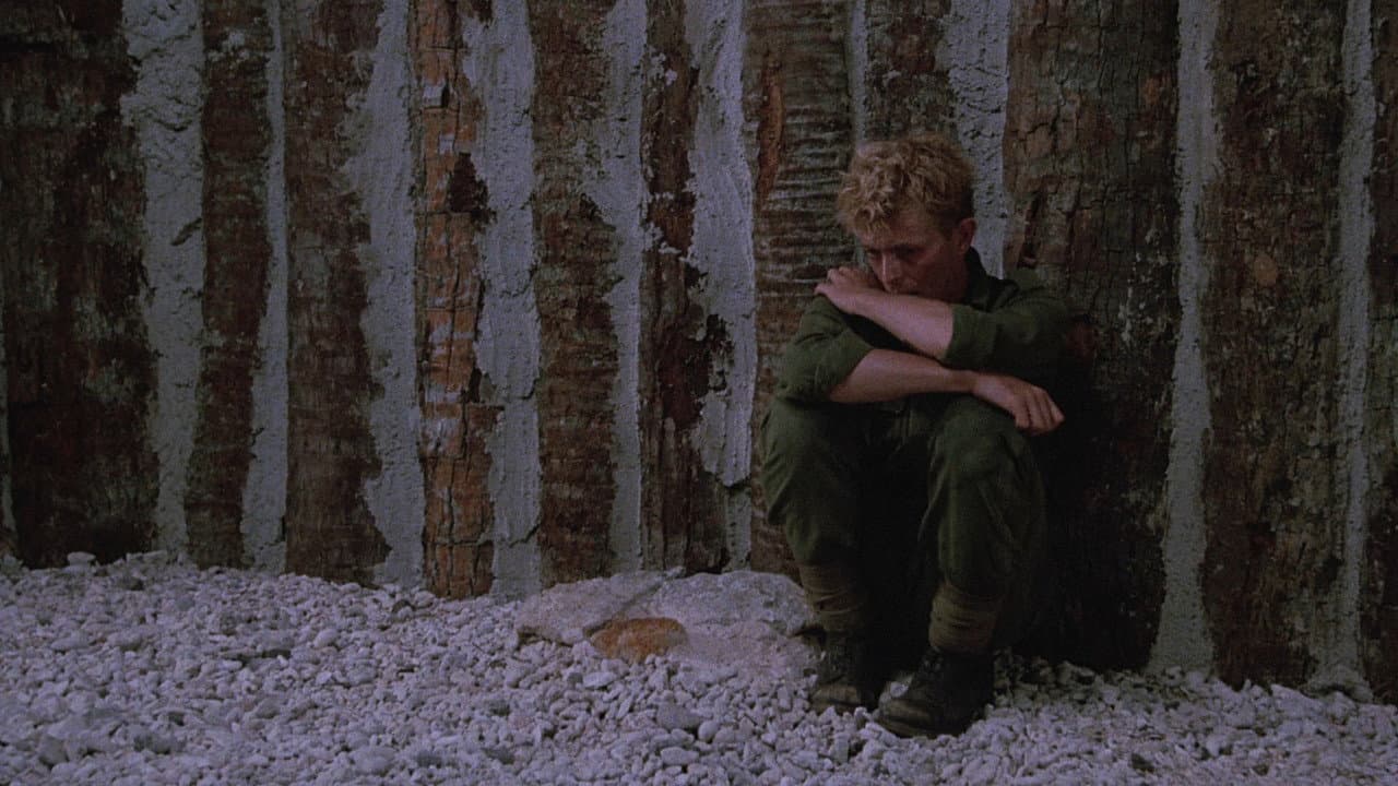 Merry Christmas, Mr. Lawrence still 5