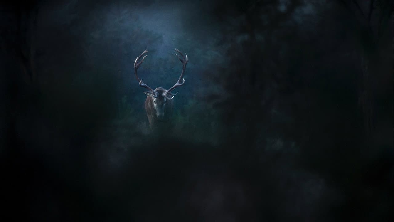Whispers in the Woods still 6