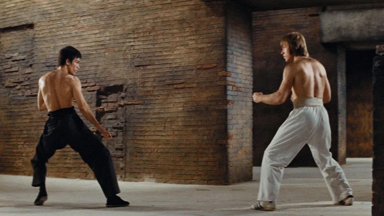 The Way of the Dragon still 5
