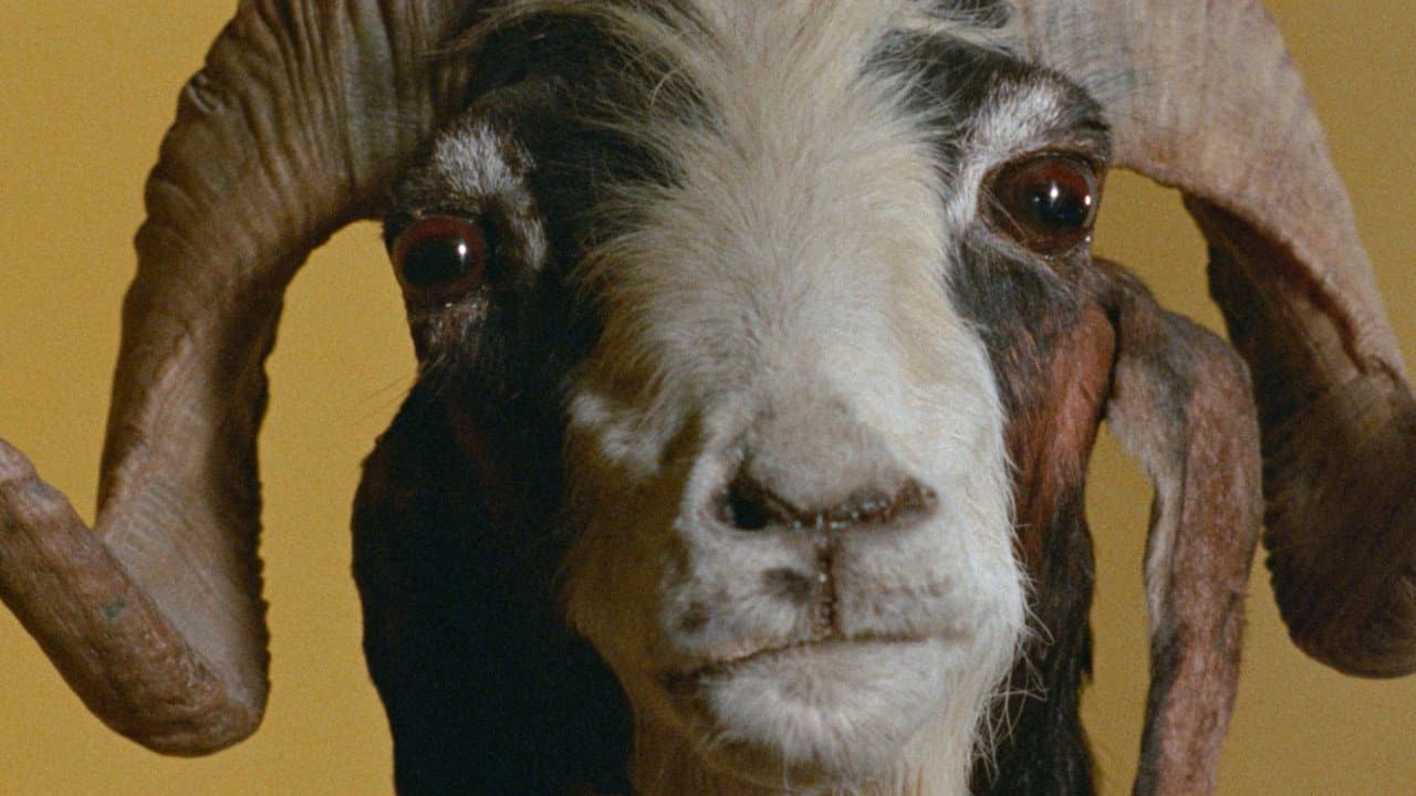 The Holy Mountain still 5