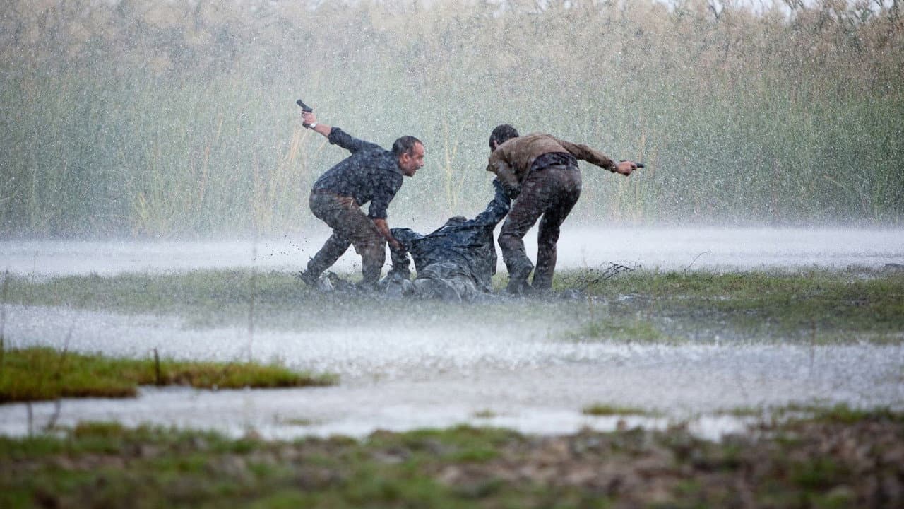 Marshland still 1