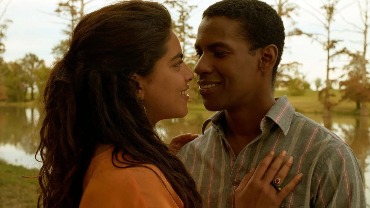 Mississippi Masala still 6