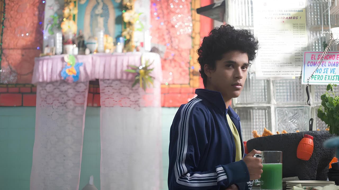 Chicuarotes still 8