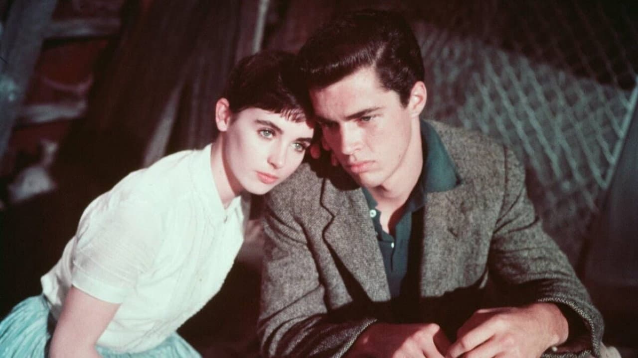 The Diary of Anne Frank still 1