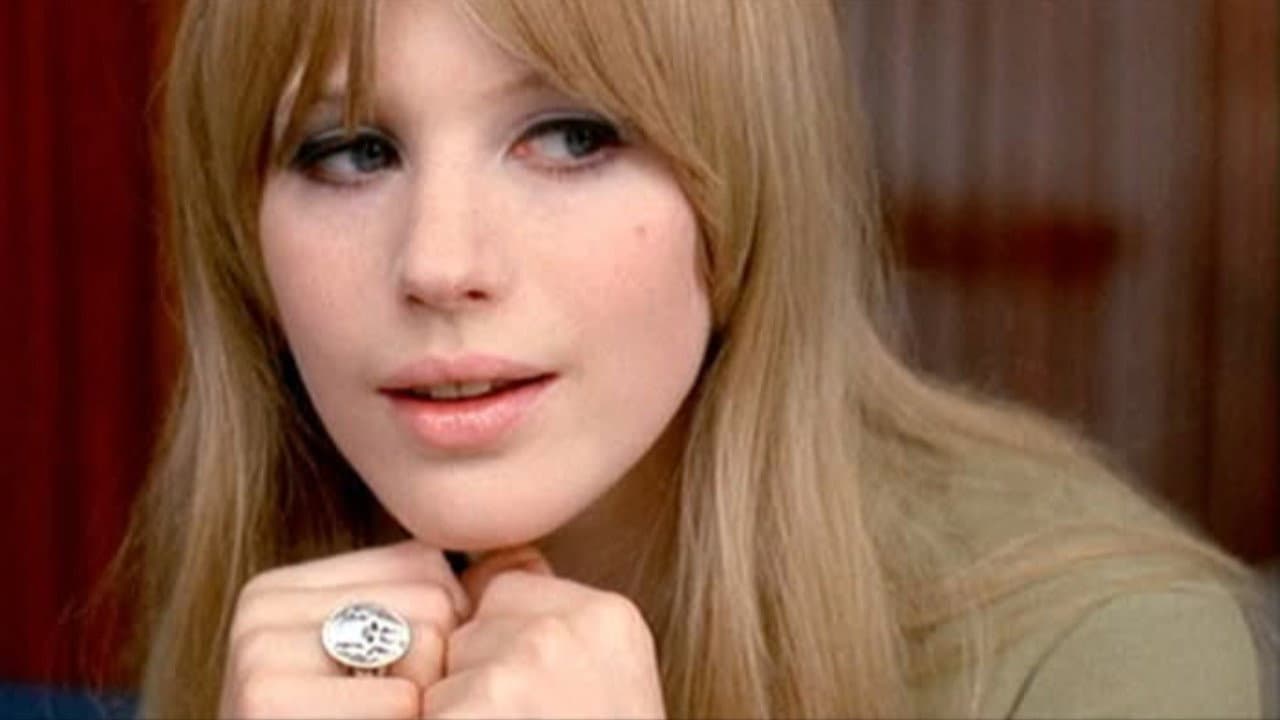 Made in U.S.A still 6