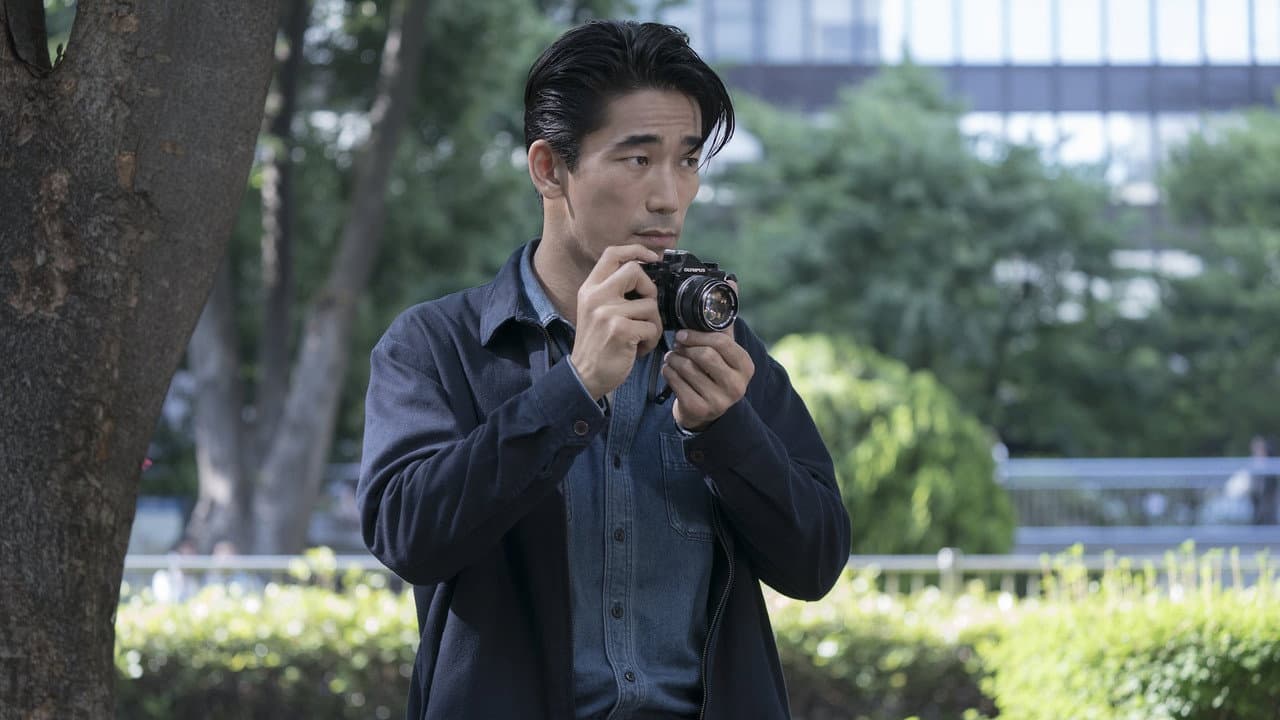 Earthquake Bird still 6