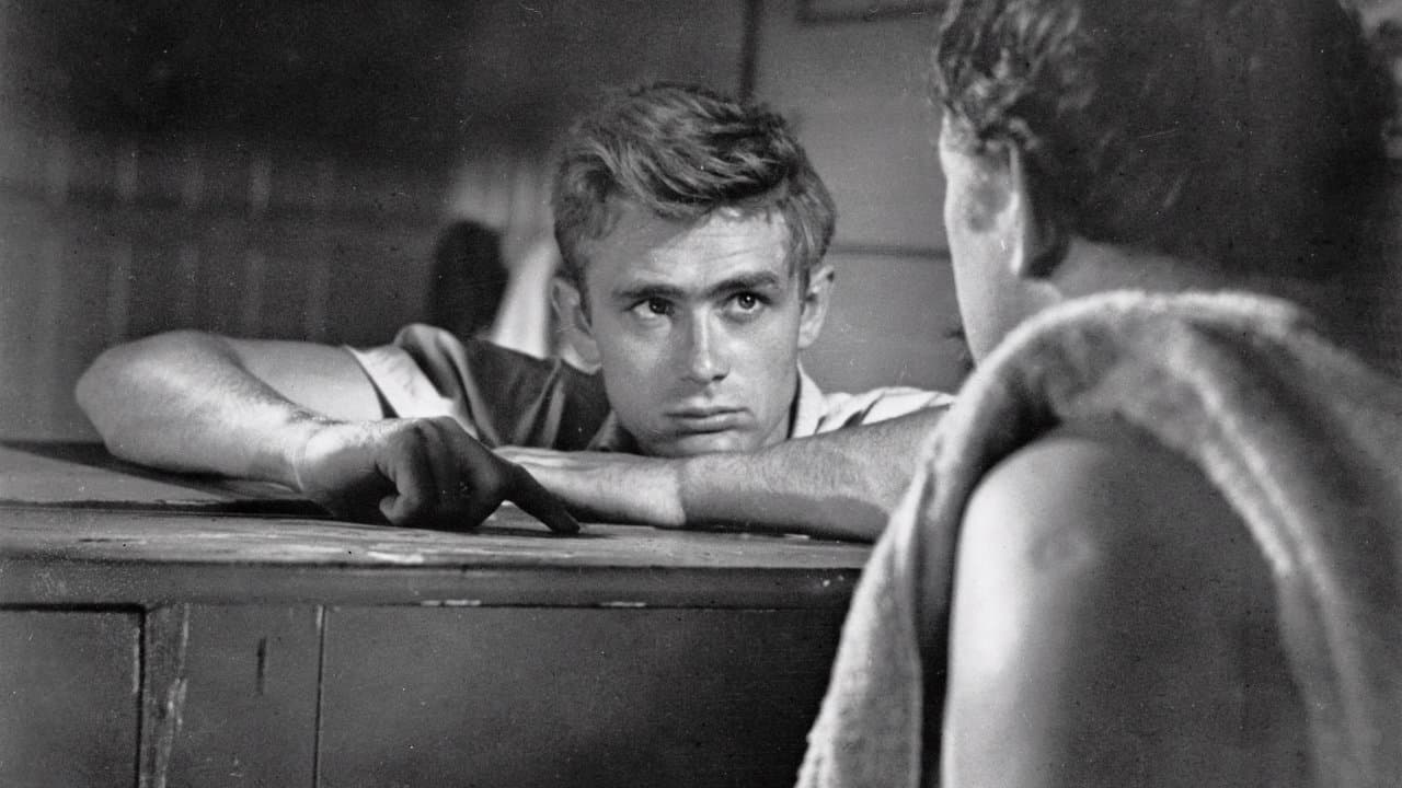 East of Eden Trailer: Florence Pugh Wrecks Hearts in still 4