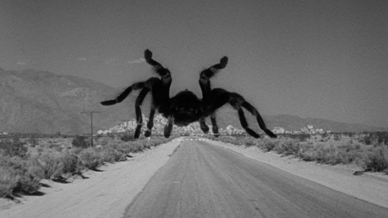 Tarantula still 6