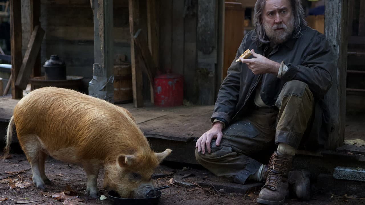 Pig still 8