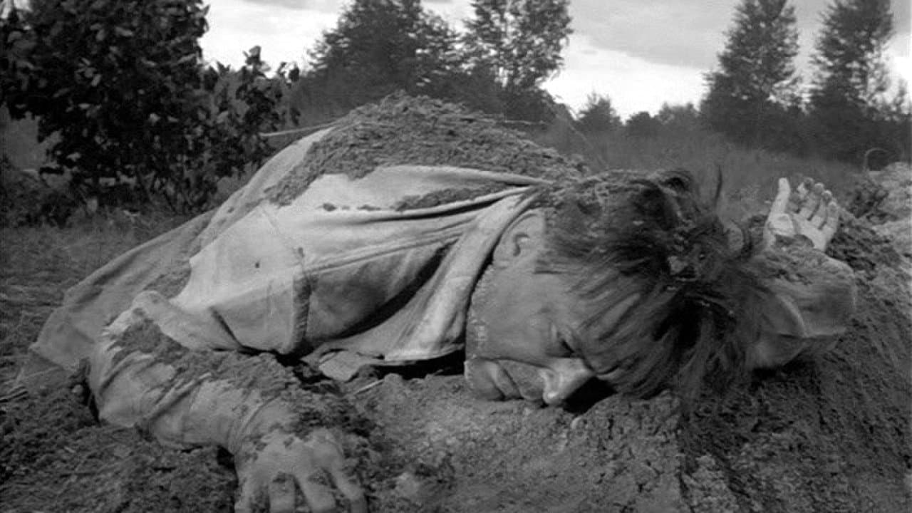Fate of a Man still 8