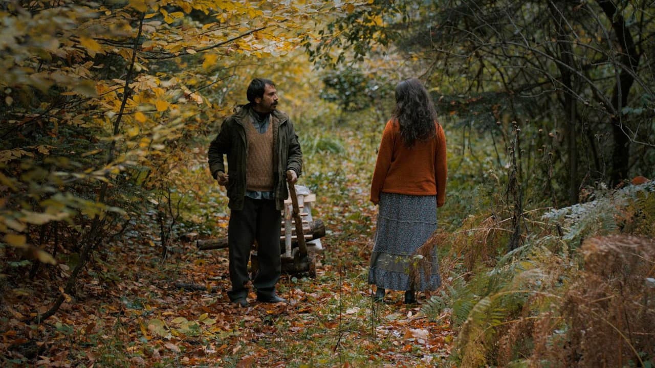 Watchtower still 3