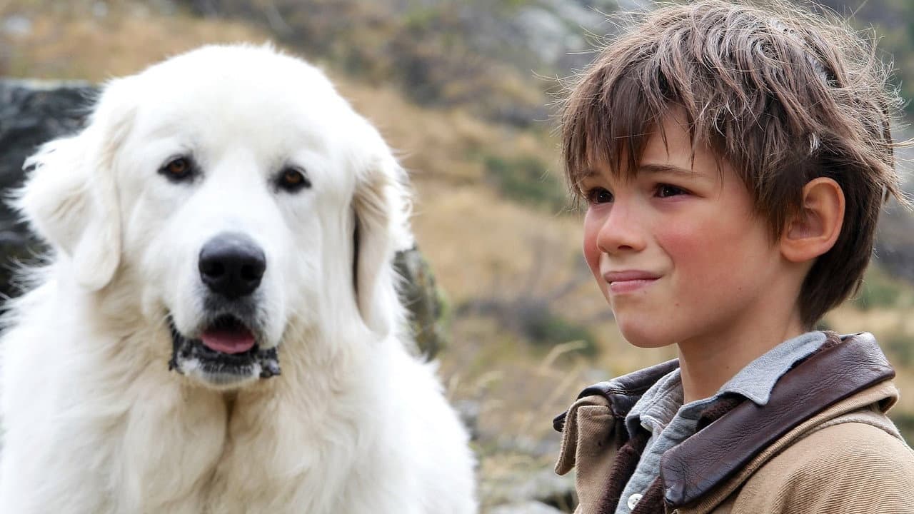 Belle and Sebastian still 3