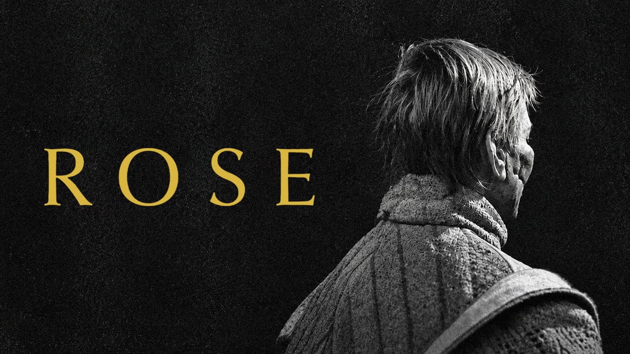 Rose still 7