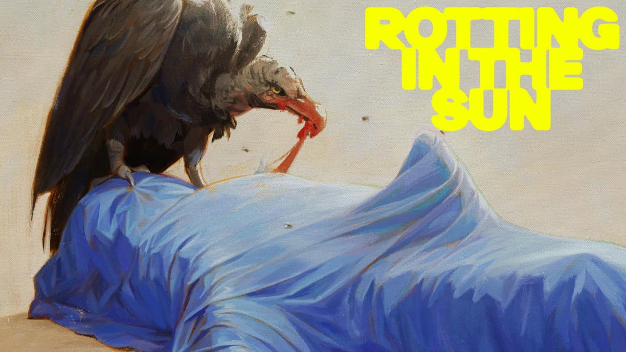 Rotting in the Sun still 1