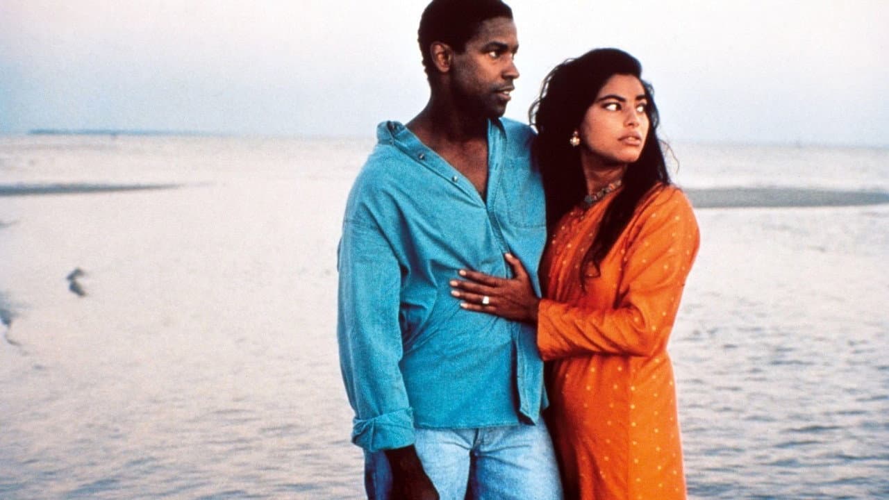 Mississippi Masala still 2