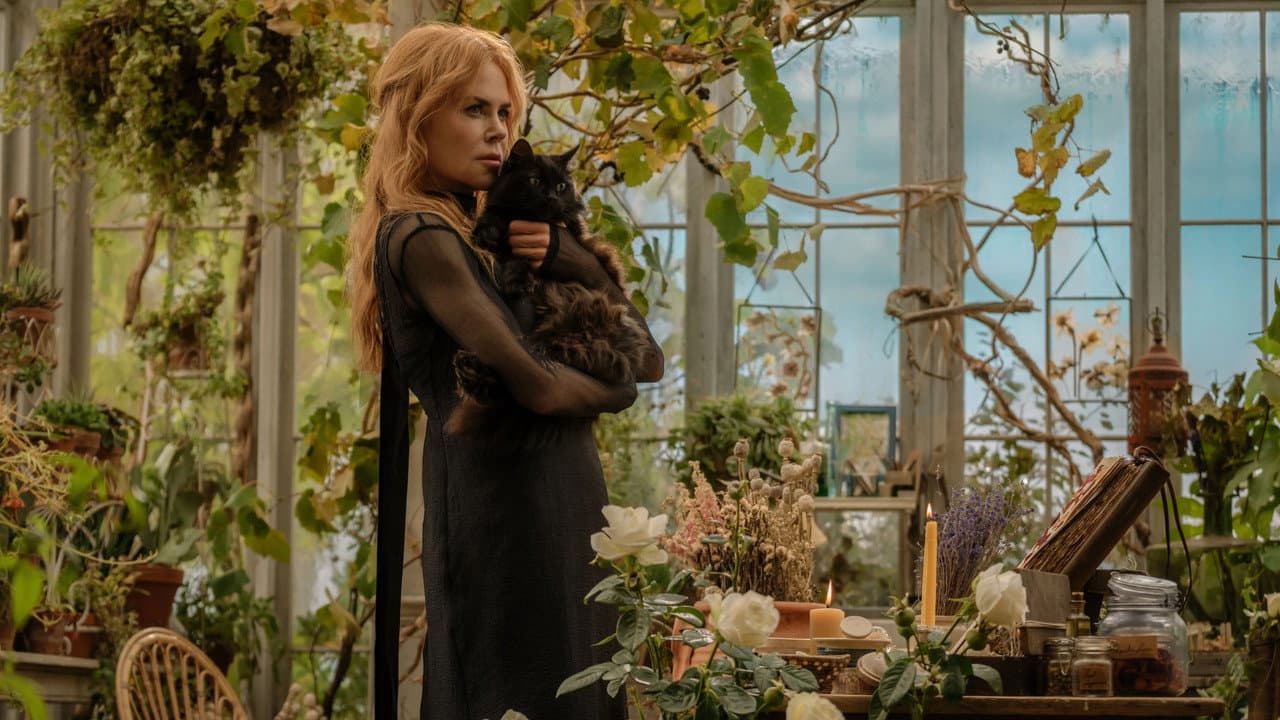 Practical Magic 2 Review: A 2026 Legacy Sequel That still 7