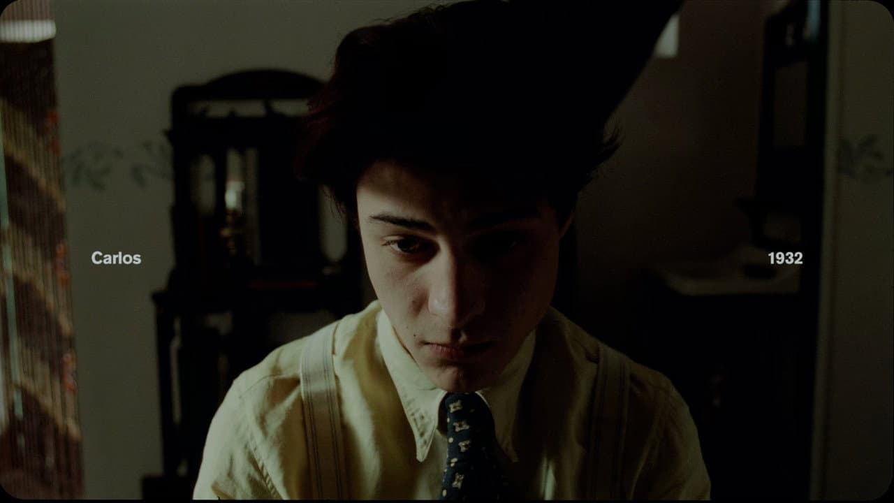 La bola negra still 8