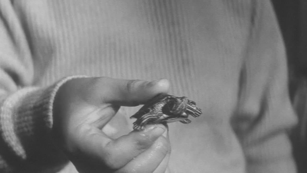 Gamera, the Giant Monster still 4