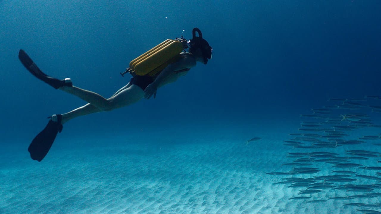 The Odyssey (2016) Film News - Cousteau Adventure still 5
