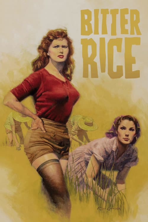 Bitter Rice still 7