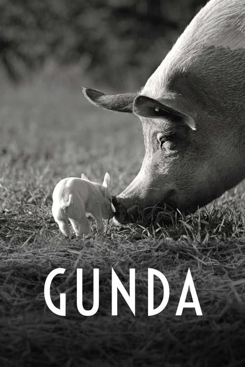 Gunda still 8