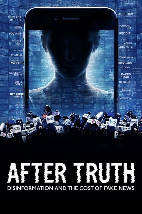 After Truth: Disinformation and the Cost of Fake News still 7