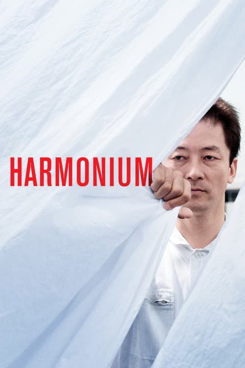 Harmonium still 8