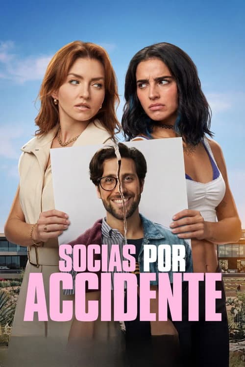 Accidental Partners still 8