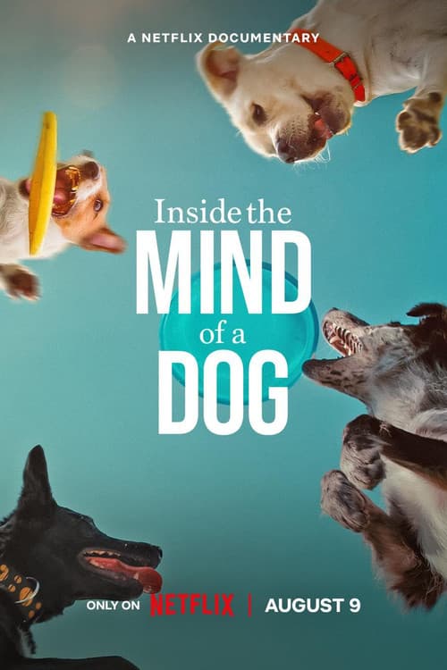 Inside the Mind of a Dog still 8