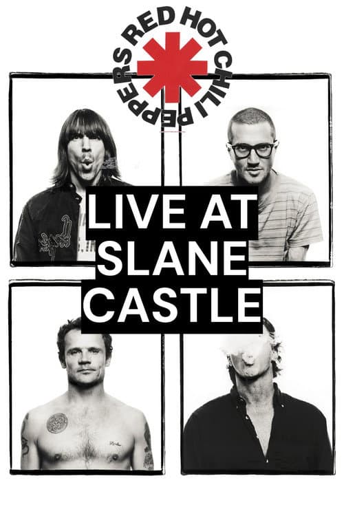 Red Hot Chili Peppers: Live at Slane Castle still 3