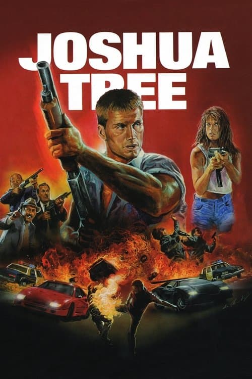 Joshua Tree still 7