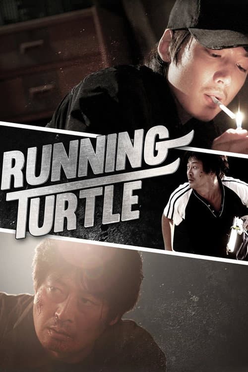 Running Turtle still 3