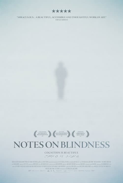 Notes on Blindness still 8