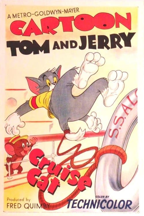 Cruise Cat still 3