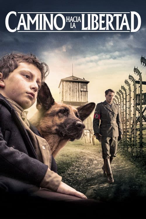 Shepherd: The Story of a Jewish Dog still 5