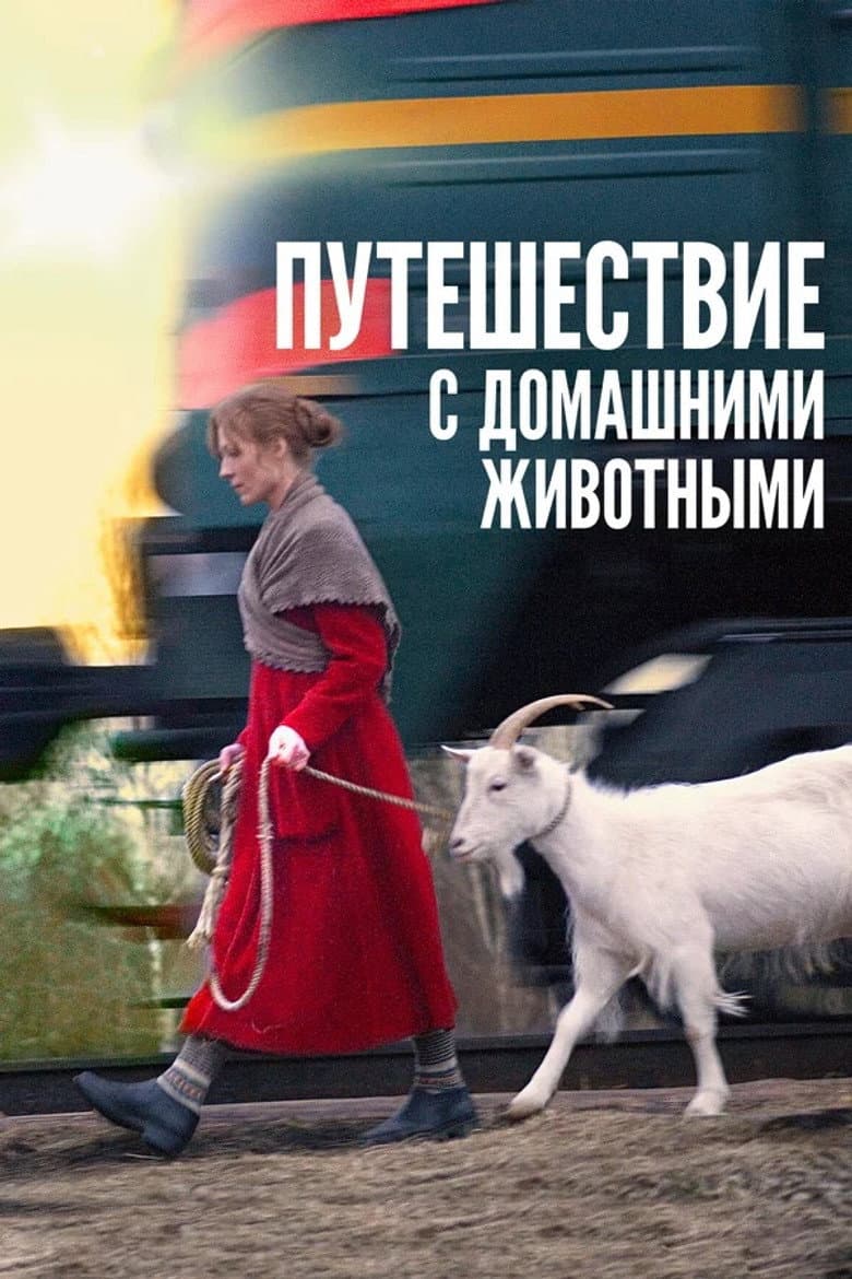 Travelling with Pets